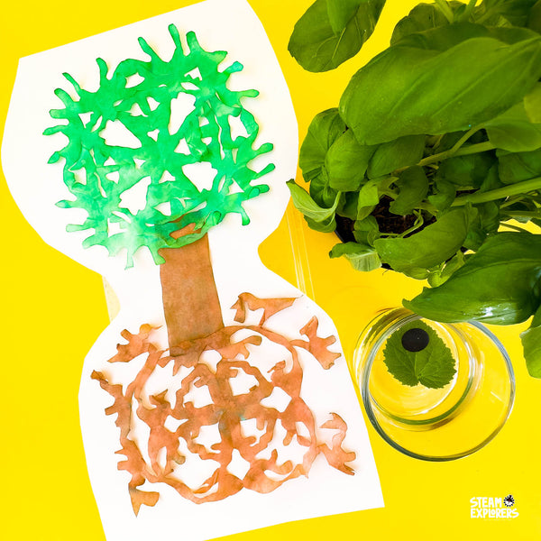 Biology Ebook Unit Study by STEAM Explorers