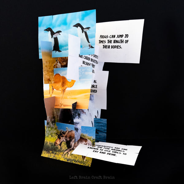 Animal Fact Building Cards