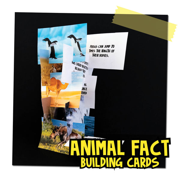 Animals Ebook by STEAM Explorers