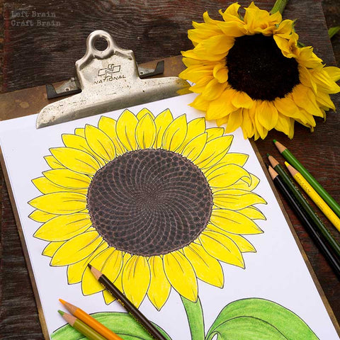 Golden Ratio Printable Coloring Pages