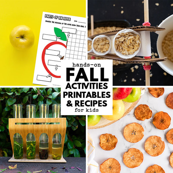 Fall Ebook Unit Study by STEAM Explorers