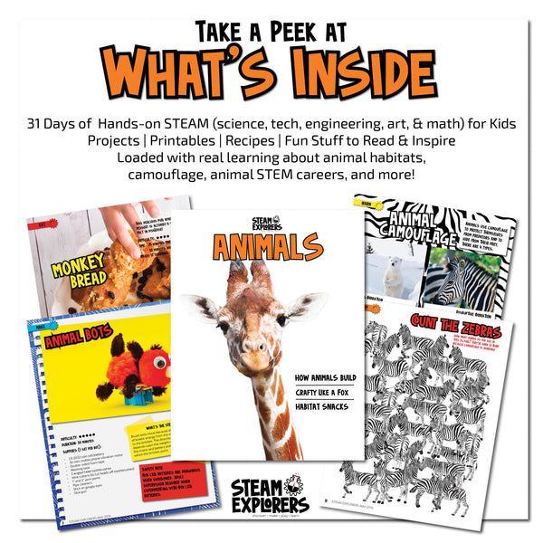 Animals Ebook by STEAM Explorers