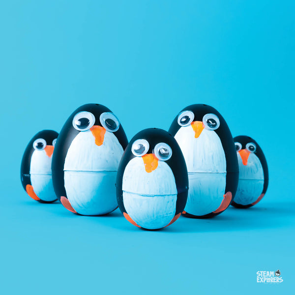 Winter Ebook Unit Study by STEAM Explorers