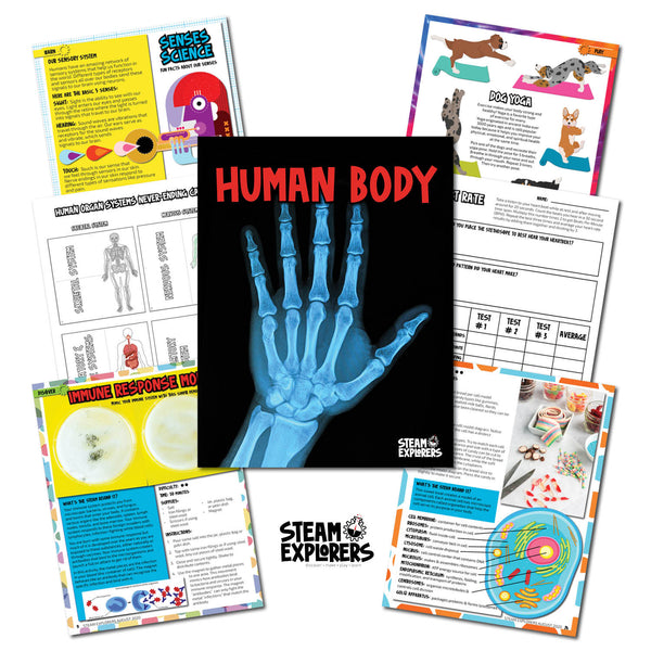Human Body Ebook Unit Study by STEAM Explorers