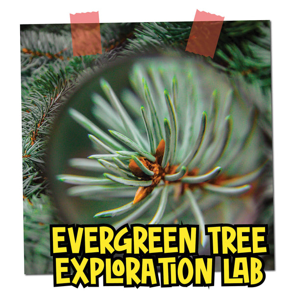Christmas Ebook Unit Study by STEAM Explorers