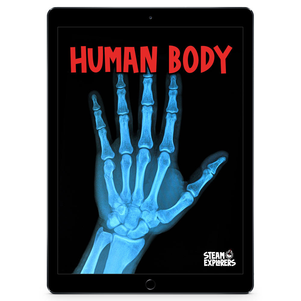 Human Body Ebook Unit Study by STEAM Explorers