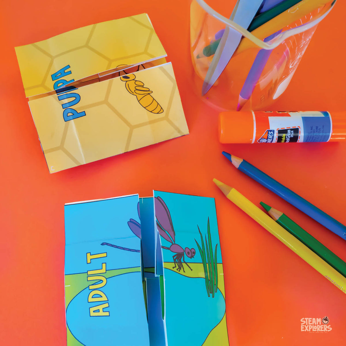 Insects Ebook Unit Study by STEAM Explorers