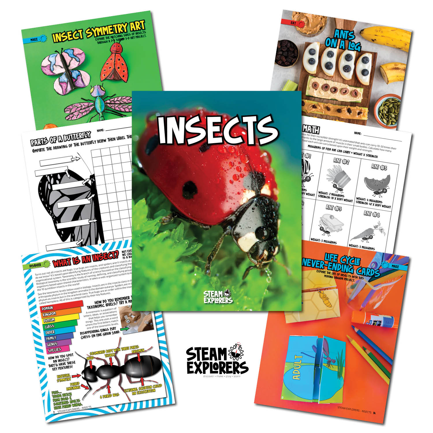 Insects Ebook Unit Study by STEAM Explorers