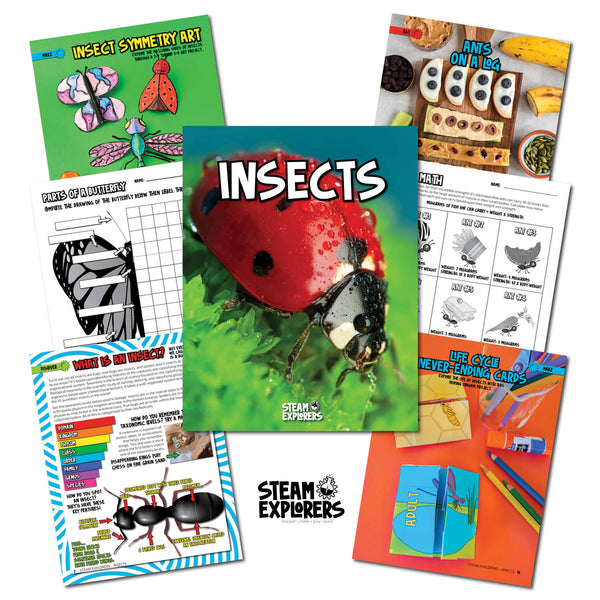 Insects Ebook Unit Study by STEAM Explorers