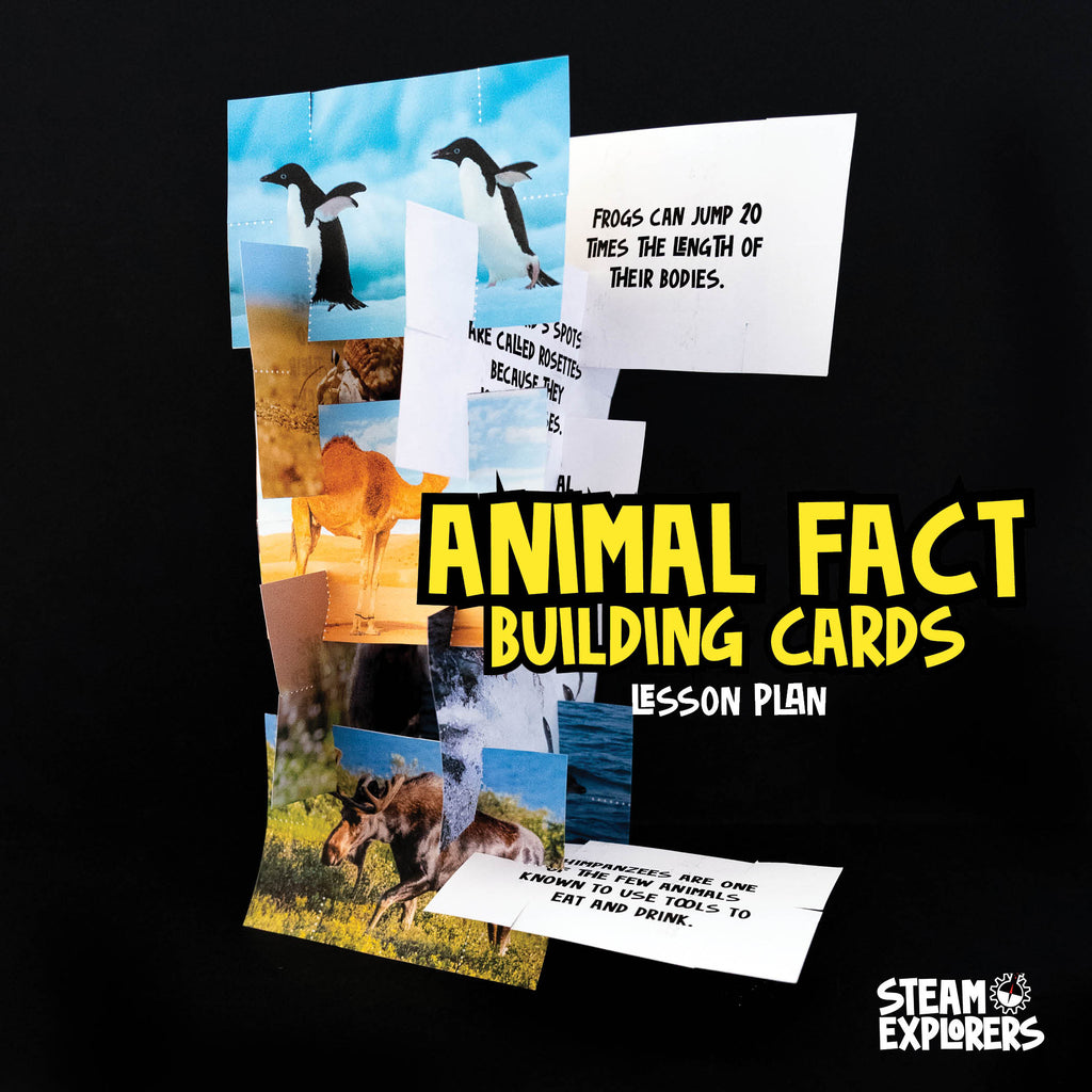 Animal Fact Building Cards