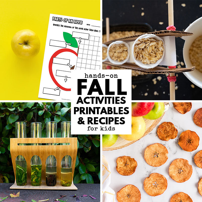 Fall Ebook Unit Study by STEAM Explorers