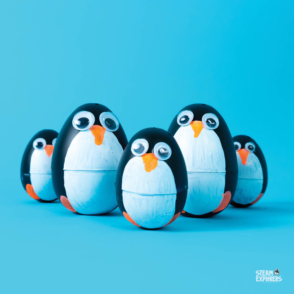 Winter Ebook Unit Study by STEAM Explorers
