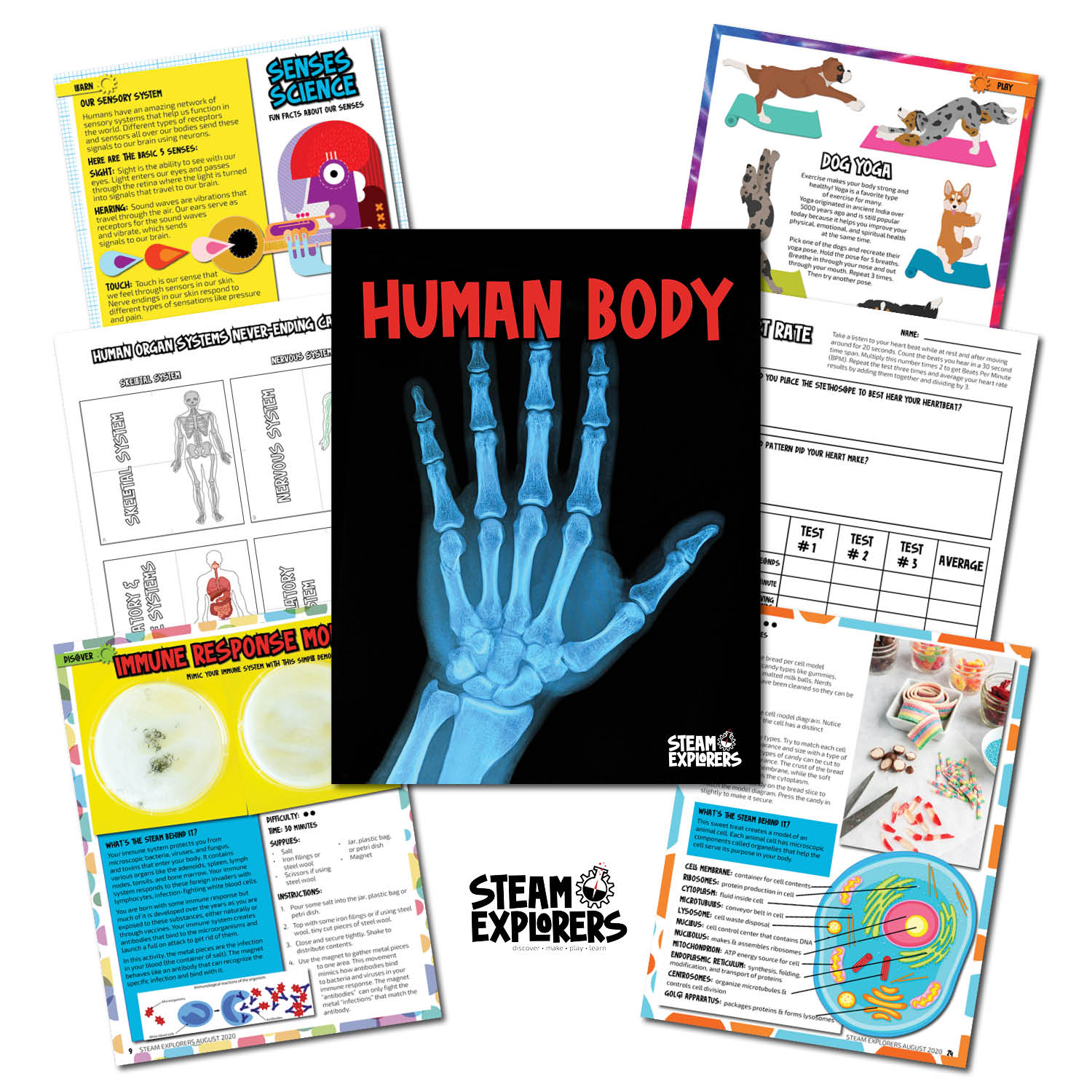 Human Body Ebook Unit Study by STEAM Explorers